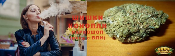 винт Арсеньев