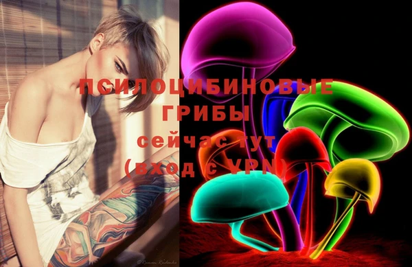 винт Арсеньев