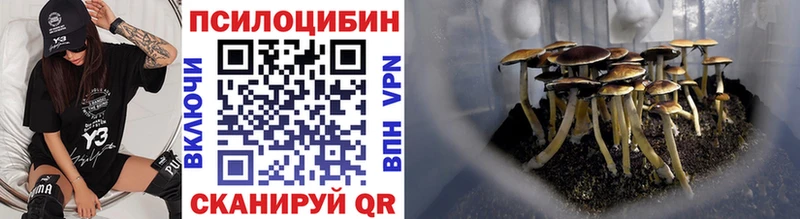 закладка  Чернушка  Галлюциногенные грибы прущие грибы 